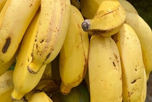 Maui: Road to Hana-tur med bilder og musikkvideo