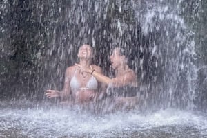 Maui: Road to Hana-tur med bilder og musikkvideo