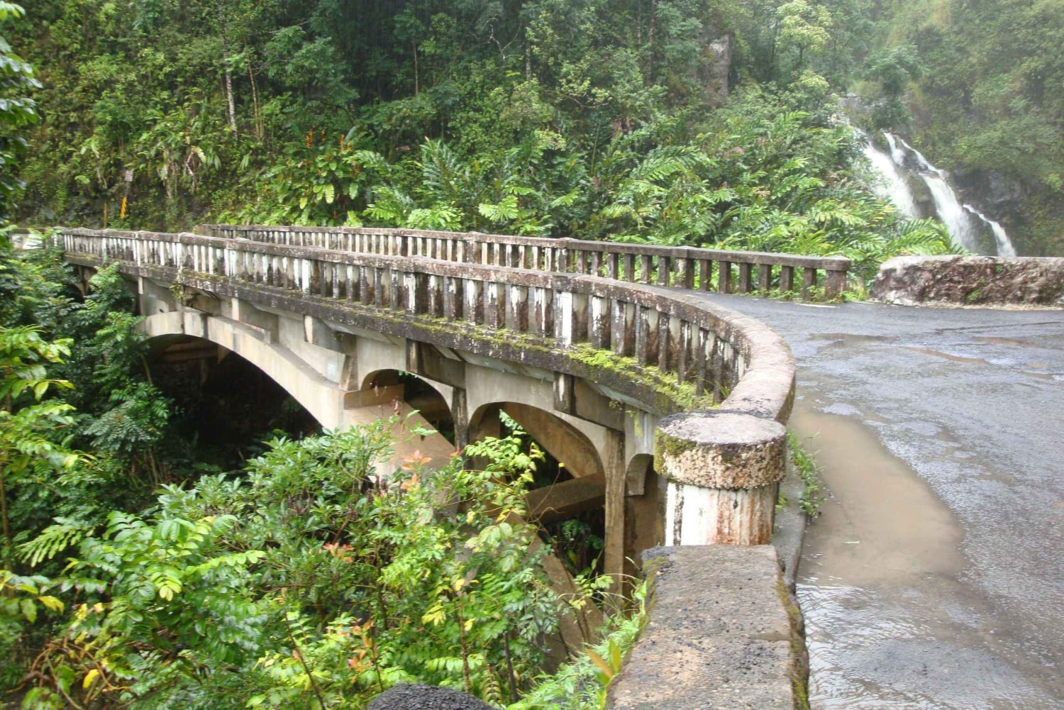 Maui: Road to Hana Waterfalls Tour lounaalla: Road to Hana Waterfalls Tour lounaalla