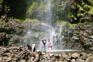 Maui: Road to Hana Waterfalls Tour with Lunch