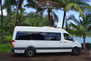 Maui: Road to Hana Waterfalls Tour with Lunch