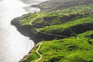 Maui: Road to Hana Waterfalls Tour med lunsj