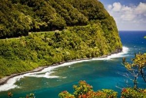 Maui: Vattenfallstur med lunch på vägen till Hana