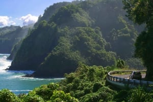 Maui: Vattenfallstur med lunch på vägen till Hana