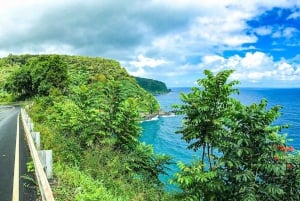 Maui: Vattenfallstur med lunch på vägen till Hana