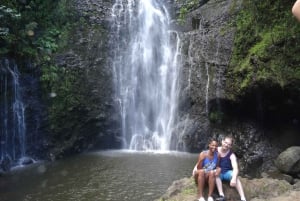 Maui: Road to Hana Waterfalls Tour lounaalla: Road to Hana Waterfalls Tour lounaalla
