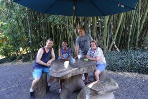 Maui: Road to Hana Waterfalls Tour lounaalla: Road to Hana Waterfalls Tour lounaalla