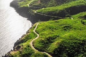 Maui: Road to Hana Waterfalls Tour lounaalla: Road to Hana Waterfalls Tour lounaalla