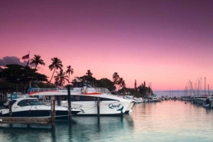 South Maui: Sunset Cruise with 4-Course Dinner and Drinks