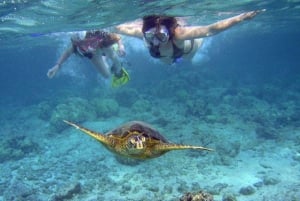 Maui: Cuevas marinas, esnórquel en Molokini y Ciudad de las Tortugas - 5,5 horas