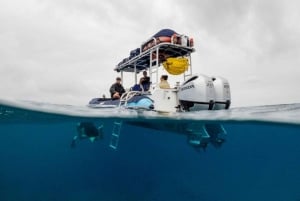 Maui: Cuevas marinas, esnórquel en Molokini y Ciudad de las Tortugas - 5,5 horas