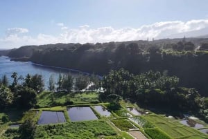 Maui: Halvdagsomvisning med havskilpadder, fossefall og Hana