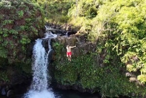 Maui: Halvdagsomvisning med havskilpadder, fossefall og Hana