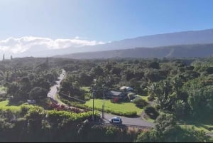 Maui: Halvdagsomvisning med havskilpadder, fossefall og Hana