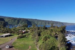Maui: Halvdagsomvisning med havskilpadder, fossefall og Hana