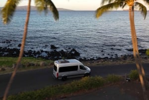 Maui: Halvdagsomvisning med havskilpadder, fossefall og Hana