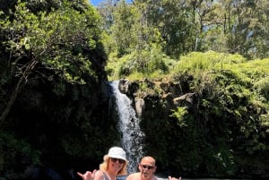 Maui: Halvdagsomvisning med havskilpadder, fossefall og Hana