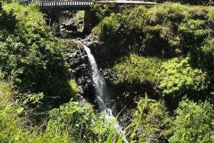 Maui: Halvdagsomvisning med havskilpadder, fossefall og Hana