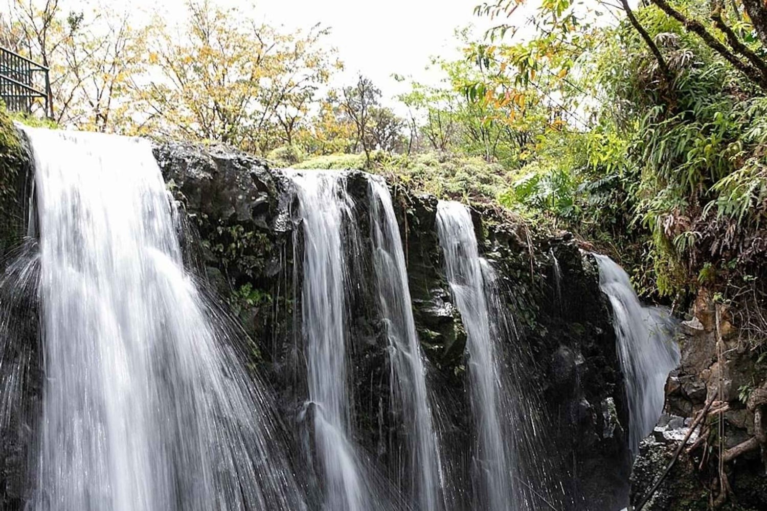 Maui zeeschildpadden en watervallen: dagtour Road to Hana