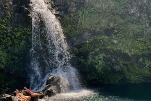 Maui zeeschildpadden en watervallen: dagtour Road to Hana