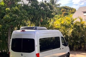 Maui zeeschildpadden en watervallen: dagtour Road to Hana