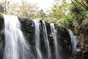 Maui zeeschildpadden en watervallen: dagtour Road to Hana