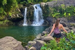Maui zeeschildpadden en watervallen: dagtour Road to Hana