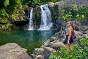 Maui zeeschildpadden en watervallen: dagtour Road to Hana