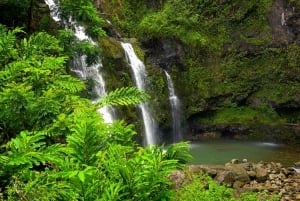 Maui: tour audio autoguidati - Full Island