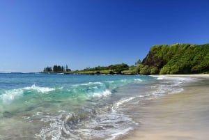 Maui: tours de áudio autoguiados - Full Island