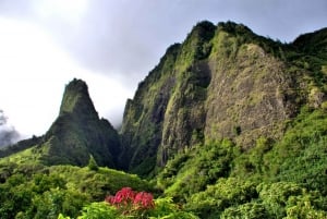 Maui: Self-Guided Audio Tours - Full Island