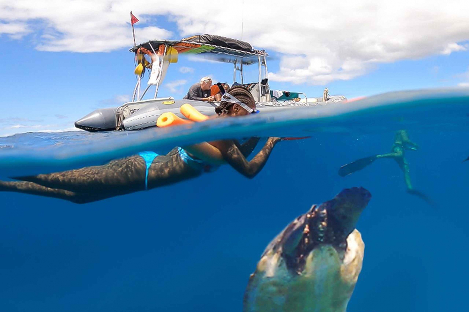 Maui: Puoliyksityinen 2,5 tunnin Eco-Raft Turtle Snorkel Tour: Semi-Private 2,5 Hour Eco-Raft Turtle Snorkel Tour