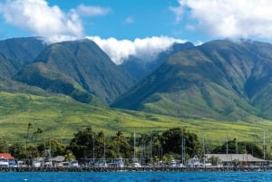 Maui : Visite semi-privée de 2,5 heures de plongée en apnée avec des tortues sur l'éco radeau