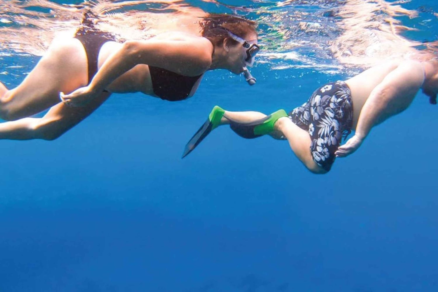 Maui: Halvprivat Eco-Raft Lanai snorkle- og delfintur