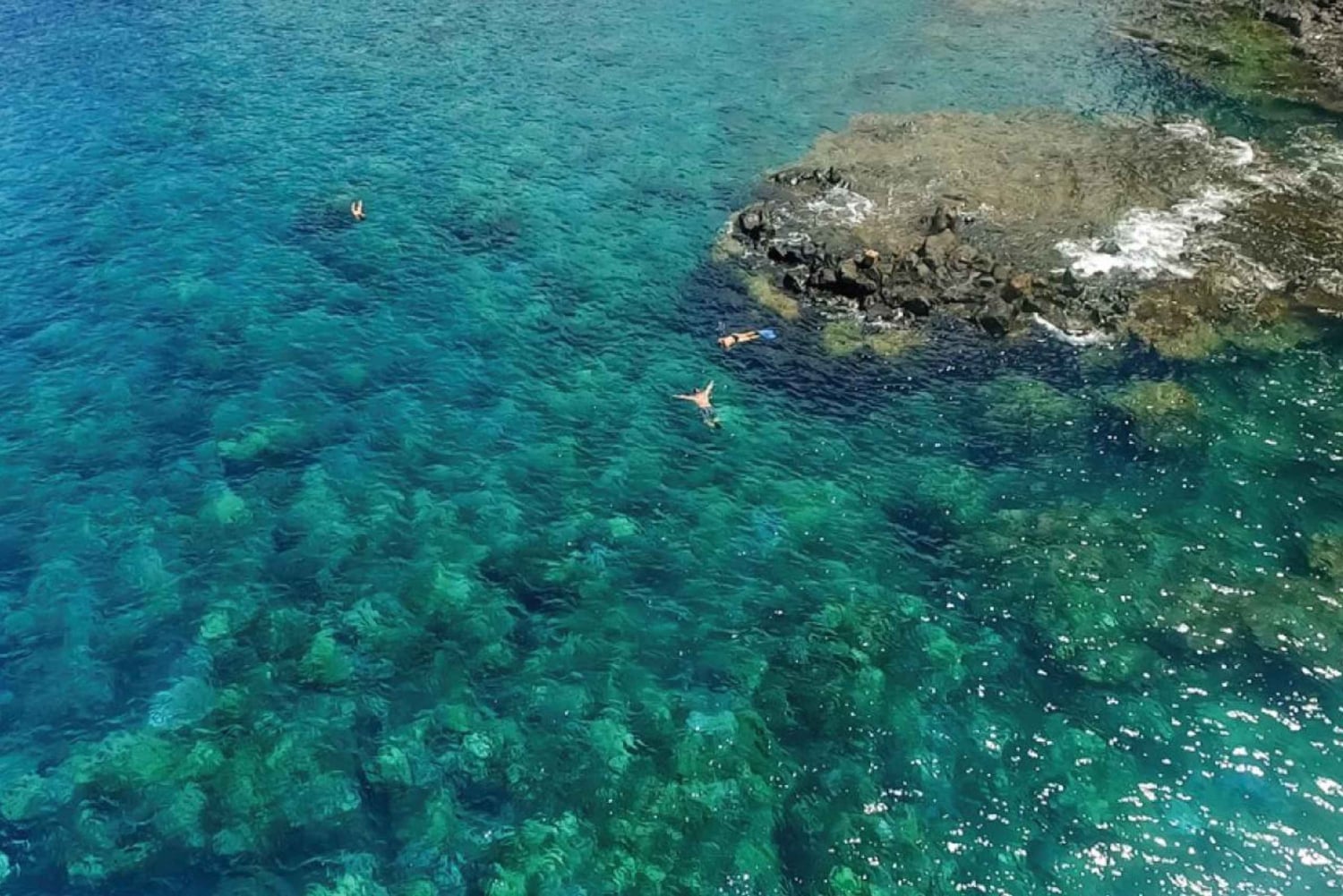 Maui: Halvprivat Eco-Raft Lanai snorkle- og delfintur