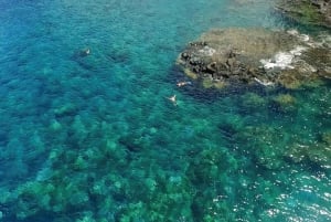 Maui: Halvprivat Eco-Raft Lanai snorkle- og delfintur