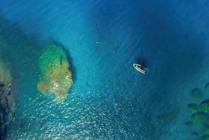 Maui: Halvprivat Eco-Raft Lanai snorkle- og delfintur