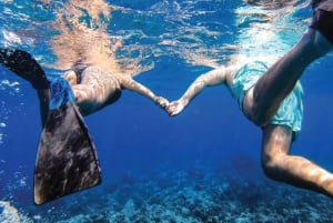 Maui: Halvprivat Eco-Raft Lanai snorkle- og delfintur