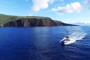 Maui: Halvprivat Eco-Raft Lanai snorkle- og delfintur