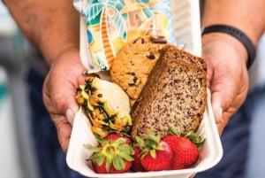 Maui: Halvprivat Eco-Raft Lanai snorkle- og delfintur