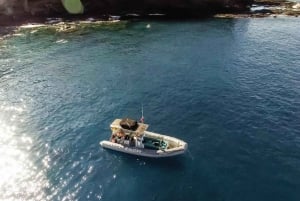 Maui: Halvprivat Eco-Raft Lanai snorkle- og delfintur