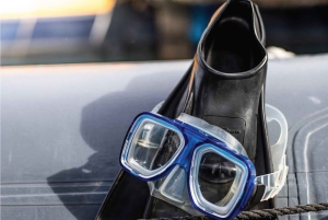 Maui: Halvprivat Eco-Raft Lanai snorkle- og delfintur