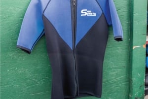 Maui: Halvprivat Eco-Raft Lanai snorkle- og delfintur