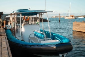 Maui: Halvprivat Eco-Raft Lanai snorkle- og delfintur