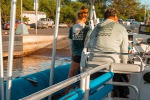 Maui: Halvprivat Eco-Raft Lanai snorkle- og delfintur