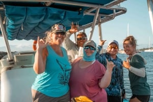 Maui: Halvprivat Eco-Raft Lanai snorkle- og delfintur