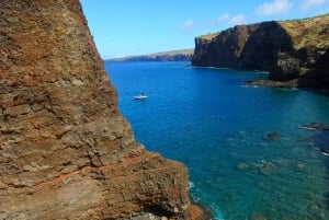 Maui: Halvprivat Eco-Raft Lanai snorkle- og delfintur