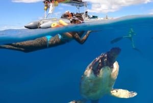 Maui : Visite semi-privée de l'Eco-Raft Lanai avec plongée en apnée et observation des dauphins