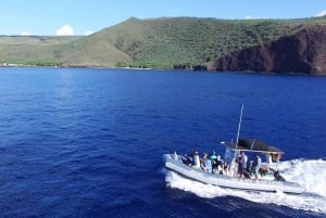 Maui : Visite semi-privée de l'Eco-Raft Lanai avec plongée en apnée et observation des dauphins