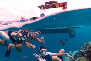 Maui : Visite semi-privée de l'Eco-Raft Lanai avec plongée en apnée et observation des dauphins